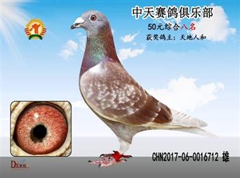 ǧλͣɼ룬ģ