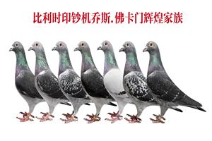 ʵսϵ֮˹š