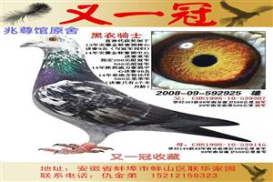 һڹʵսϵչ