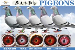 ĿǣرȻߣ