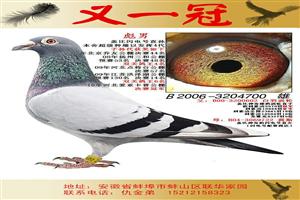 һڹʵսϵչ