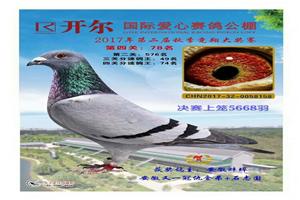 һڹʵսϵչ