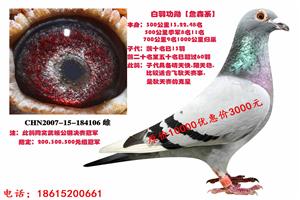 Ǩ۱ָ
