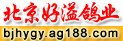 ҵ