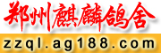 ֣