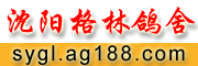 ָ