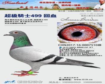 ʿ499Ѫ