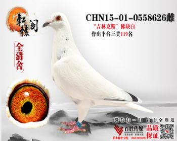 ֿ˹ Ӵ 0558626
