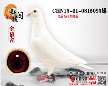 Ұֱϵ 0815095