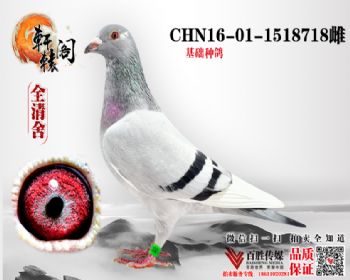 540＾ƽ 1518718