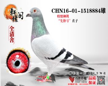 WHZBھֱ 1518884