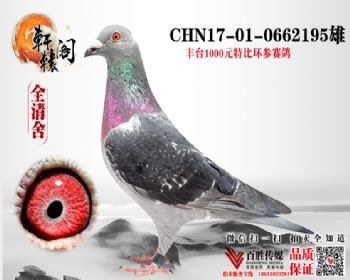 ̨رȻ ھ600ֱŮ0662195