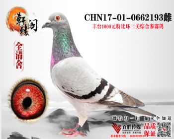 ̨رȻۺϹ鳲 0662193