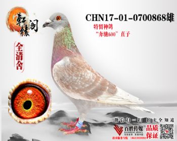 600ֱ0700868