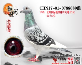 Ĺظ7λ ƽ0788689