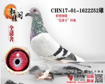 WHZBھŮѪ 37ƽ 1622252