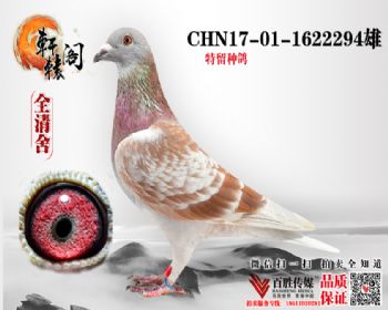 鹫4ֱ 1622294