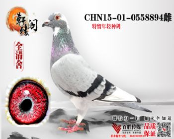 ζֱŮ0558894