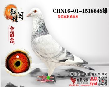 ³С 1518648