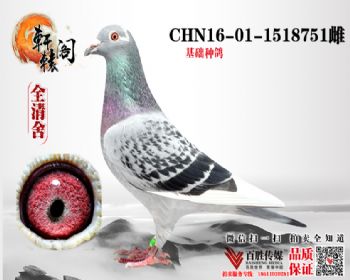 ʸ7ƽ 1518751