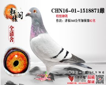 848ֱŮ 82ĸ 1518871