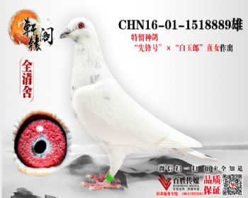ھ 1518889