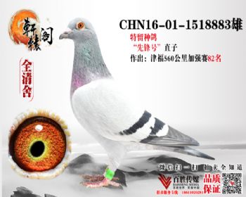 WHZBھֱ 821518883