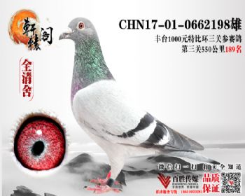 ̨رȻ550189 0662198
