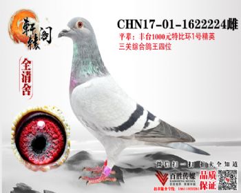 ̨4ƽ 1622224