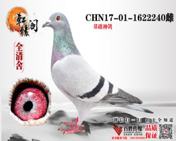 Ѫ 1622240