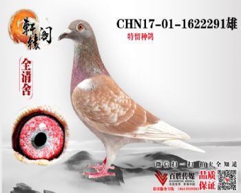 鹫4Ӵ 1622291