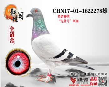WHZBھѪ1622278