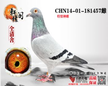 ζ 181457