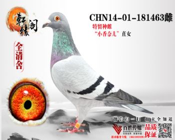 ζ 181463