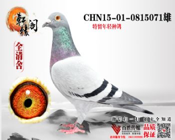 ͺͷ 0815071