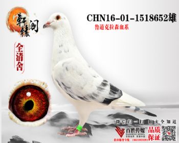 С 1518652