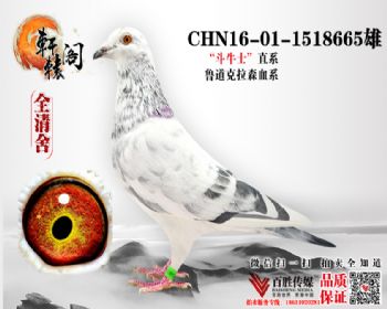 ³ɭţʿ 1518665