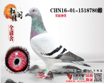 70017ֱŮ 1518780