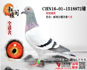 848ֱ 71 1518872