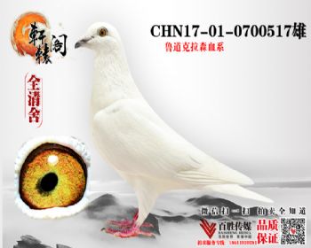 ˶ţʿ 0700517