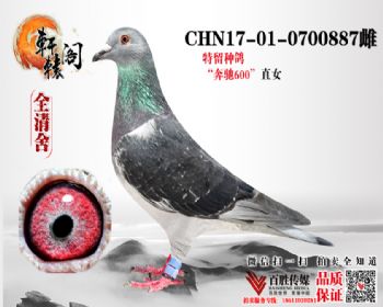 600ֱŮ 0700887