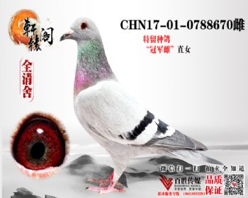 ̨7ƽ 0788670