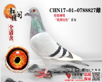 С 0788827