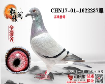 ū ھ 1622237