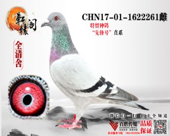 WHZBھѪ1622261