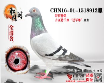 ūھ ֱŮ1518912
