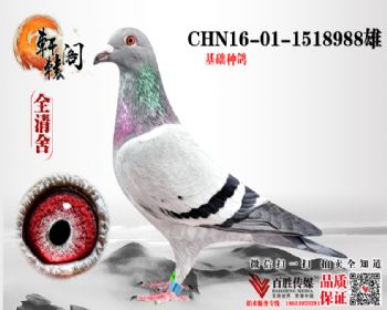 WHZBھѪ1518988