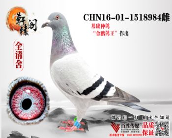 ֱŮ 1518984