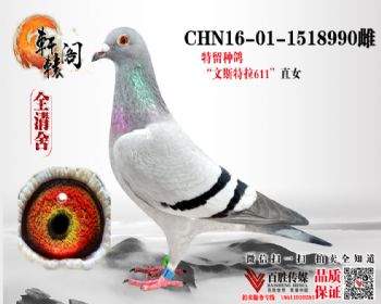ζ1518990