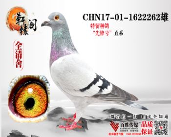 WHZBھѪ1622262